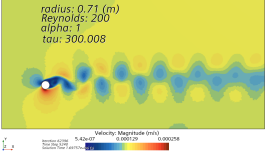 Velocity and vorticity fields